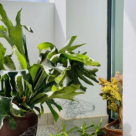 Casa Mirabel *